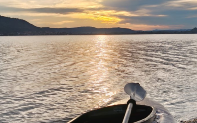 Mein Freiwilligeneinsatz am Bodensee