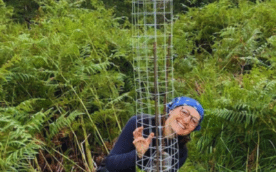 Volunteering at Killarney National Park