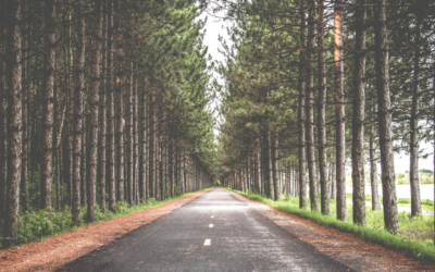 Let’s do an internship in Europe! Join an NGO in Belgium, Catalonia (Spain) or Kosovo