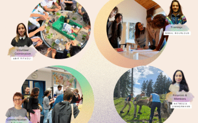 SCI Switzerland Annual Report 2025 out now!