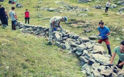 Workcamps 2022 abroad