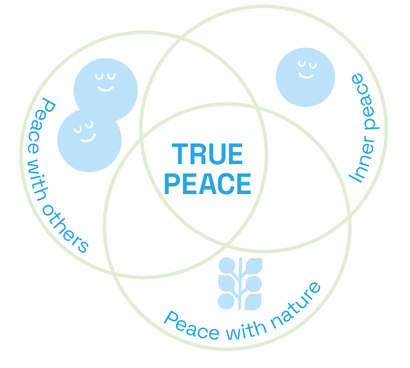 3 Levels of Peace with SCI International